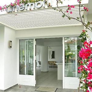 Anemoni Beach Hotel